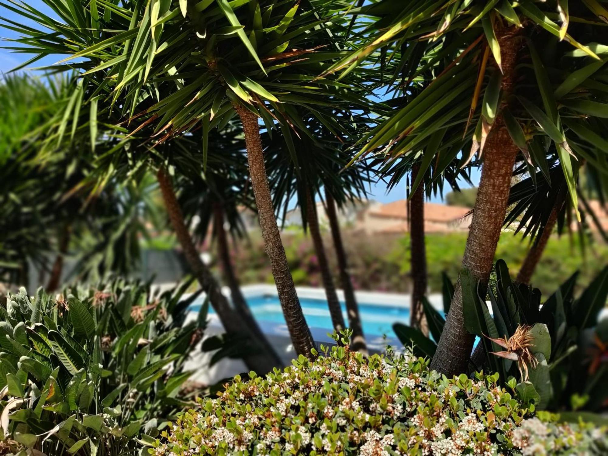 Pool Seaside Relais - Ville Ninfea, Marea, Rosa E Cassiopea فونتاني بيانكي المظهر الخارجي الصورة